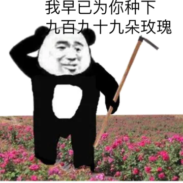 我早已为你种下九百九十朵玫瑰了(520情人节)