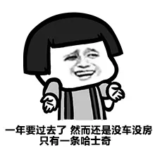 一年过去了，然而还是没车没房只有一条哈士奇