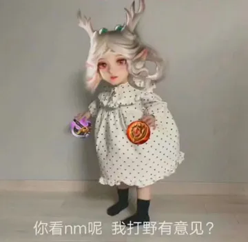 瑶瑶表情包：我打野你有意见？