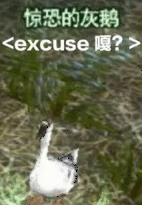 惊恐的灰鹅