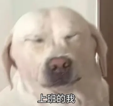 职场怼人必备表情包