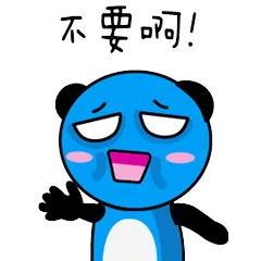 飞行熊日常生活一