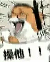 操他(狗狗)