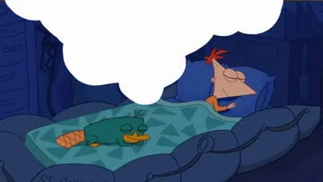 Perry the platypus sleeping