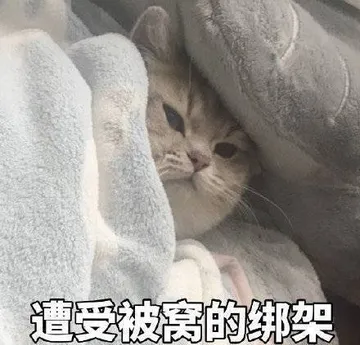 遭受被窝的绑架
