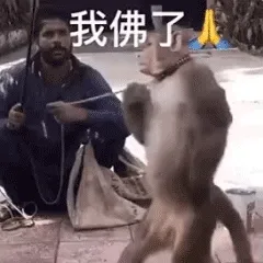 我佛了人(吗喽表情包)