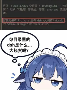你目录里的dsh是什么…大烧货吗