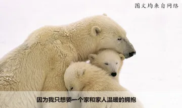 因为我只想要一个家和家人温暖的拥抱