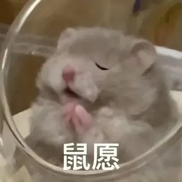鼠愿