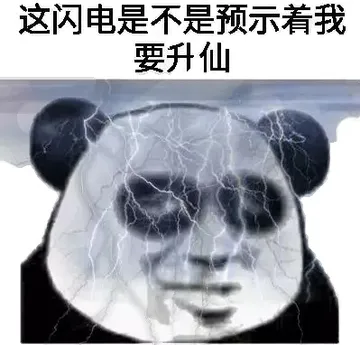 这闪电是不是预示着我要升仙（熊猫）