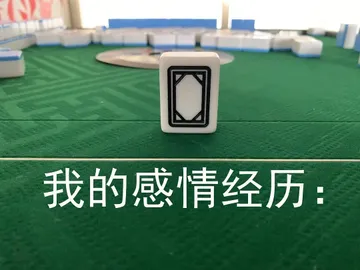 我的感情经历白板