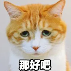 那好吧