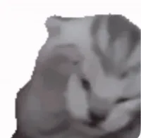 小猫抱头尖叫表情包