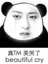 真TM美哭了 beatiful cry