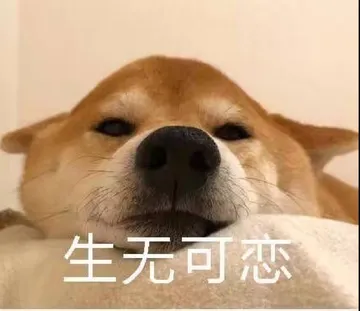 生无可恋（狗狗）