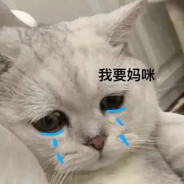 我要妈咪