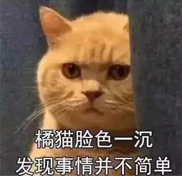 橘猫脸色一沉.发现事情并不简单