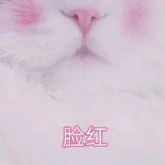 脸红