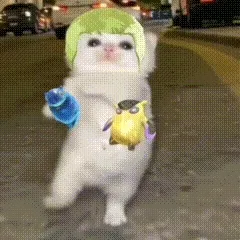 piu piu piu小猫跑步魔性表情包