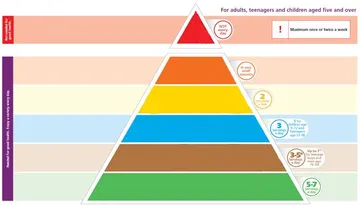 Food Pyramid