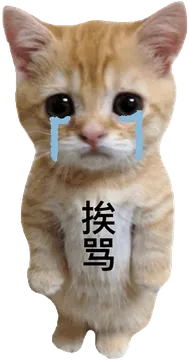 挨骂罚站小猫表情包