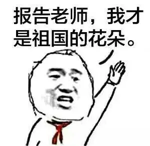 报告老师.我才是祖国的花朵