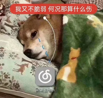 我又不脆弱何况那算什么伤⑤网抑云音乐