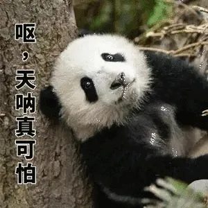 呕，天呐真可怕