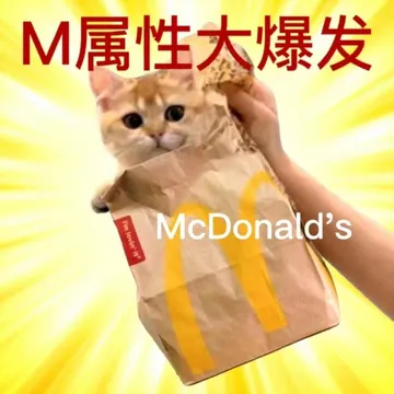 M属性大爆发I'm lovin'itMcDonald's