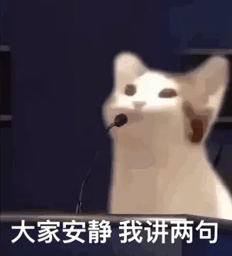 大家安静 我讲几句（POPO猫表情包）