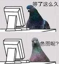 鸽子：等了这么久，色图呢？