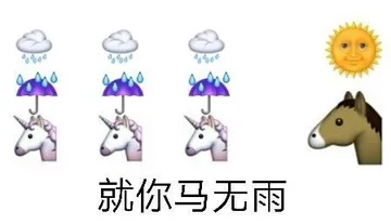 就你马无雨