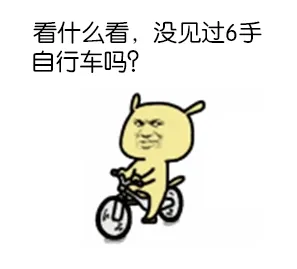 看什么看，没见过6手自行车吗？