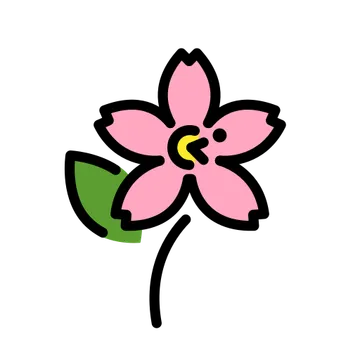 Cherry blossom