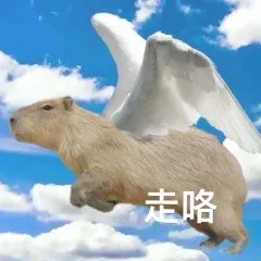 走咯(水豚表情包)