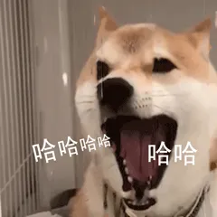 柴犬小Q来斗图