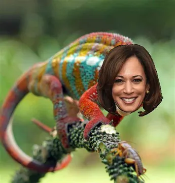 Kamala chameleon