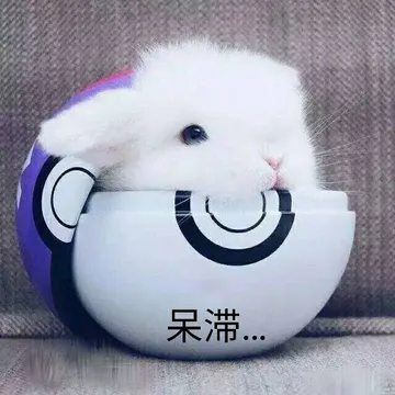 呆滞