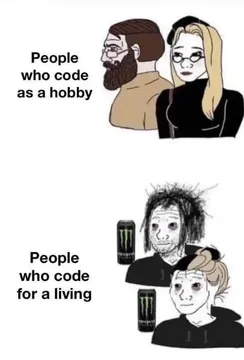 Hobby vs Career: The Developer Appearance Spectrum