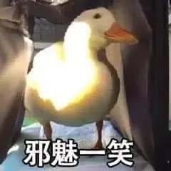 开心鸭00029-邪魅一笑