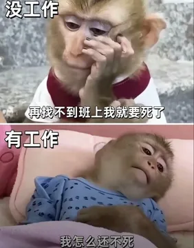 吗喽打工表情包