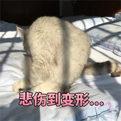 悲伤到变形.