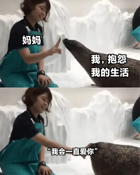 妈妈我,抱怨我的生活“我会一直爱你”