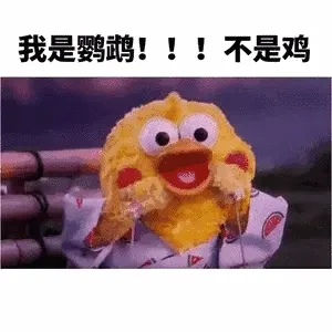 我是鹦鹉!不是鸡!