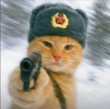 猫猫：你背叛了工人阶级