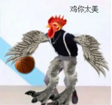 鸡你太美 memes