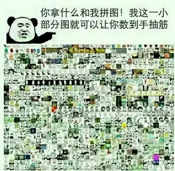 你拿什么和我拼图，这一小部分图就可以让你数到手抽筋 － 听说你想斗图？－ 金馆长熊猫