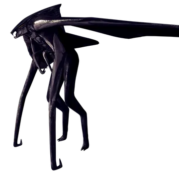 Hokmuto