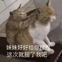 妹妹好好给你捏捏，这次就摇了我吧（猫咪）
