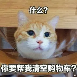 什么
